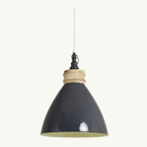 Liodor Single Matt Finish Decorative Chandelier Lamp - Green